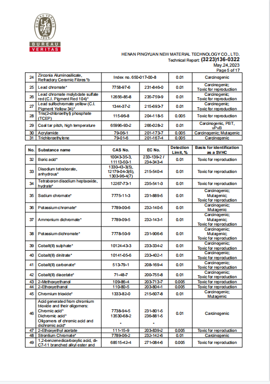 RGPPS REACH 報（bào）告 4